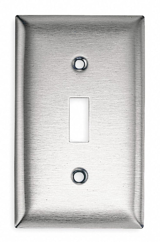 Tgl Switch Wll Plt Stnd Silver 1Gng Brsh