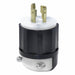 Locking Plug 120/208V AC