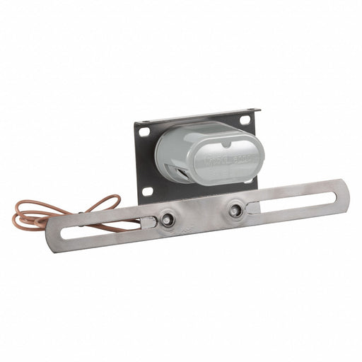 License Plate Light Oval Clear