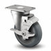 PlateCaster Swivel Polyurethane 6 3/16 H