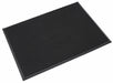 Footwear Sanitizing Mat 24 L 32 W
