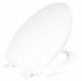 ToiletSeat Wht 14.125inW 2.125inH