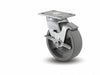 Plate Caster Swivel Nylon 5 5/8 H