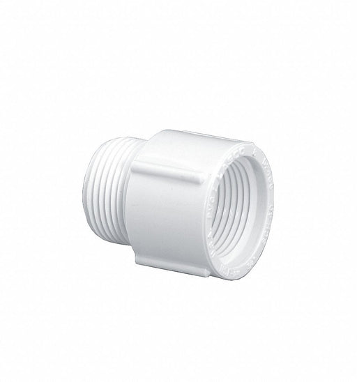 PVC Straight 3/4 in NPT 3/4 in NPT