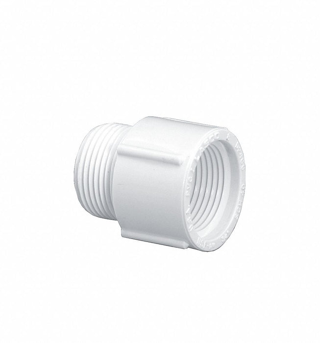 PVC Straight 3/4 in NPT 3/4 in NPT
