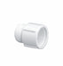 PVC Straight 3/4 in NPT 3/4 in NPT