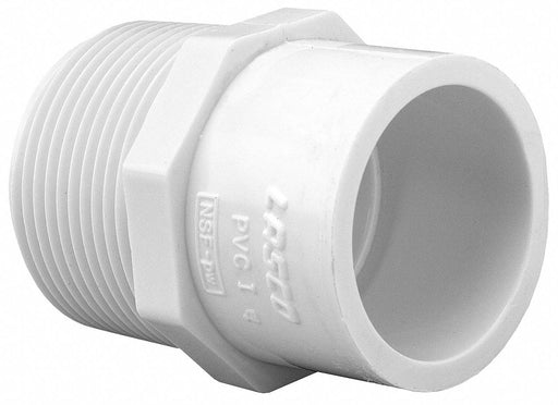 Adapter 1 x 3/4 in Schedule 40 White