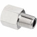 Straight Adapter Brass 1/8 in NPTF