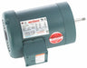 Pump Motor 3-Phase Design Steel Frame