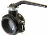Butterfly Valve