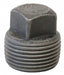 Square Head Plug Forged Steel 2 in