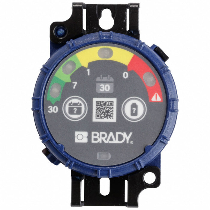 Inspection Timer 30 day PK10