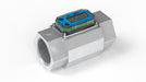 Electronic Flowmeter 2 FNPT 5.3 L
