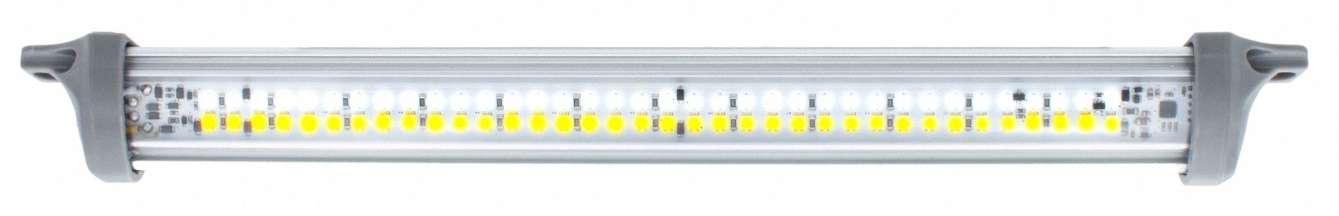Dual Light/Warning Light
