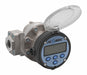 Electronic Flowmeter 1 FNPT 4.1 L