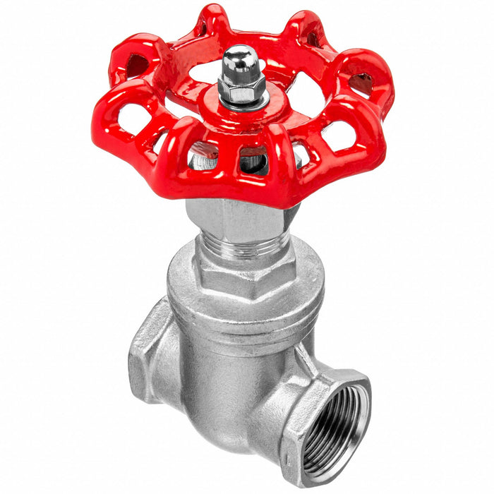 Gate Valve 3/4 304 SS NPT