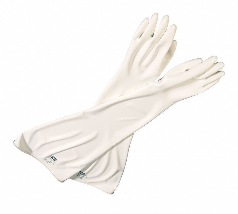 GloveBoxGloves Wht Sz9.75 PE PR