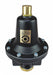 Regulator Tamperproof 0-200PSI 1/4 