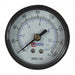 DG 1/4 Back Mount 0-160PSI 2 