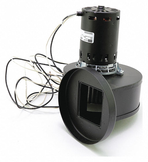 Inducer Motor