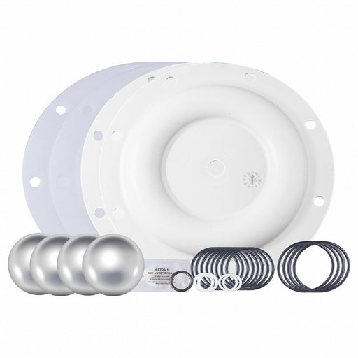 Diaph Pump Repair Kit Stainless Steel