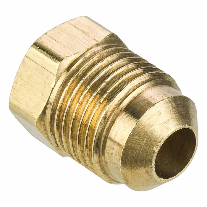 Plug Brass Flared 5/16 in