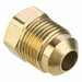 Plug Brass Flared 5/16 in