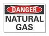 Danger Sign 7 in x 10 in Non-PVC Polymer