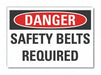 Safety Belt Danger Lbl 3.5x5in Polyest