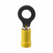 Ring Terminal PK 25