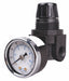 Mini Regulator Zinc Body 1/4 