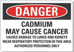 Danger Sign 10in x 14in Non-PVC Polymer