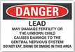 Lead Hazard Danger Rflct Lbl 5inx7in