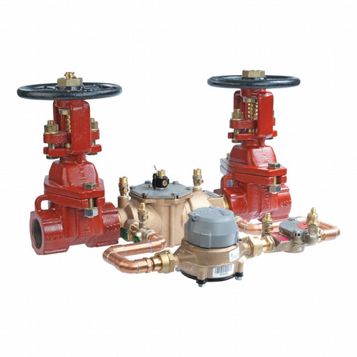Double Check Detector 007 2in FNPT