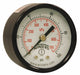 Economy 2 0-100 psi/Kpa 1/4 Npt Back