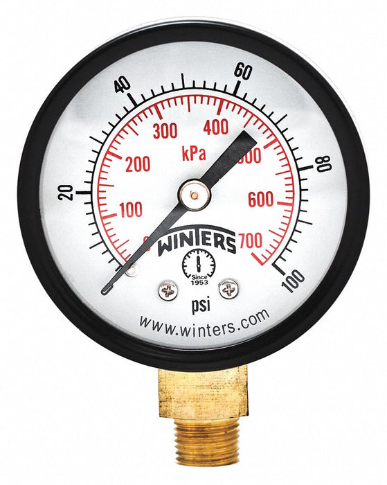 Economy 2 0-100 psi/Kpa 1/8 Npt Btm