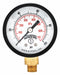 Economy 2 0-100 psi/Kpa 1/8 Npt Btm
