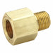Strt Brass Flared 1/4 in Pipe 1/8 in
