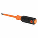 InsulScrDrv Phillips #2 Black Round