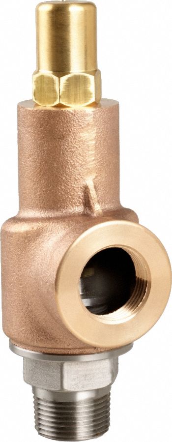 D4554 Adjustable Relief Valve 1/2 In 50 psi