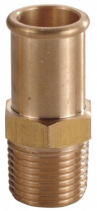 Beaded Fitting Brass 1/2 NPTx1/2 Barb