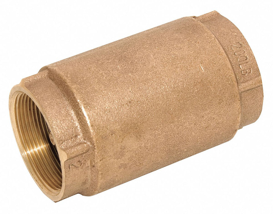 Spring Check Valve 4 in Overall L