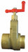 Hose Gate Valve 2.5in MxF NST Brass