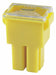 Automotive Fuse