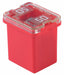 Automotive Fuse