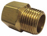 Adapter Brass 1/4 in NPTF Class 150