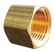 Hex Head Cap Brass 3/8 in Pipe Size FNPT