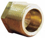 Hex Head Plug Brass 3/4 in MNPT 5 PK