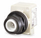 H4530 Extended Push Button Incandescent 30mm