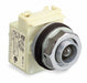 H4495 Pilot Light No Lens 30mm Incandescent